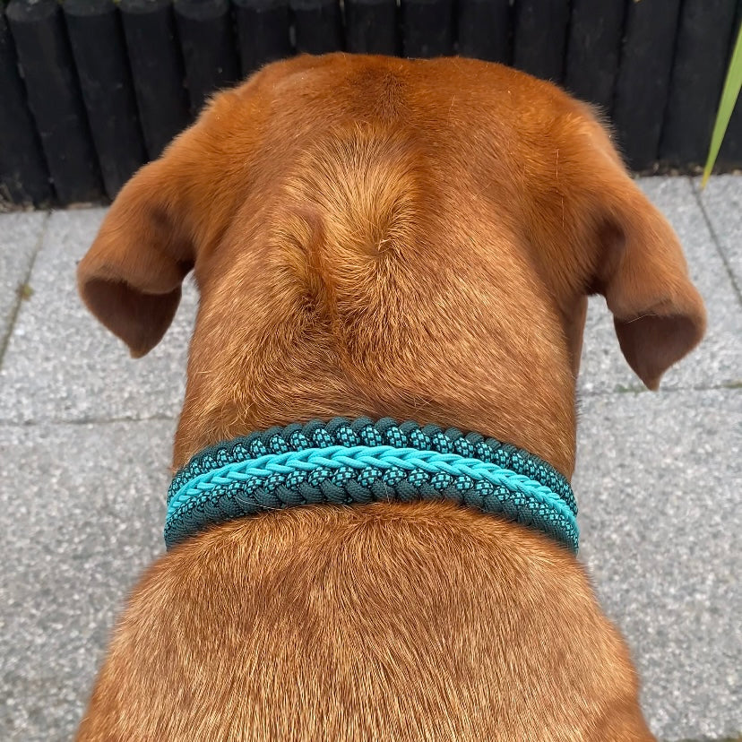 Alpine Lake | The Adventure Collection | Handmade Original Weave Collar