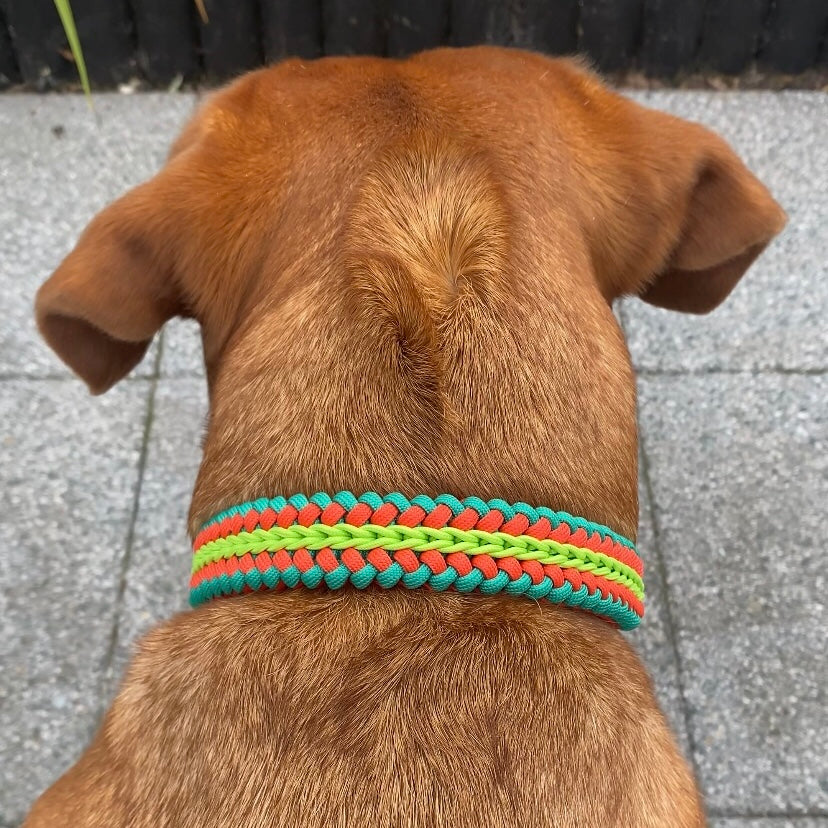 Dallas | Handmade Original Weave Collar