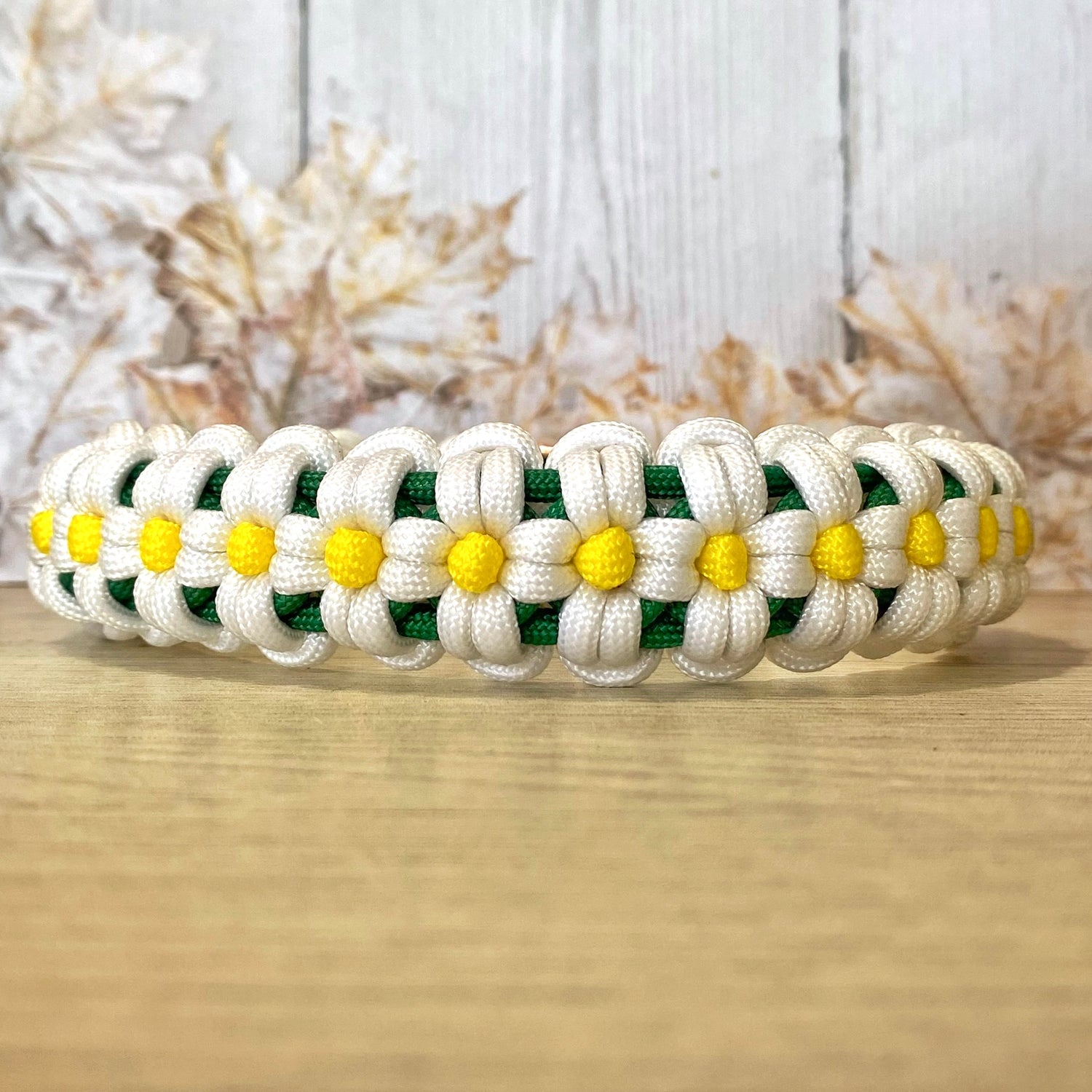 The Daisy Chain Collection