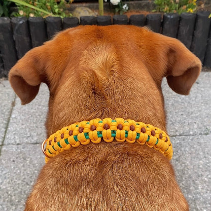 Sunflower | The Daisy Chain Collection | Handmade Collar