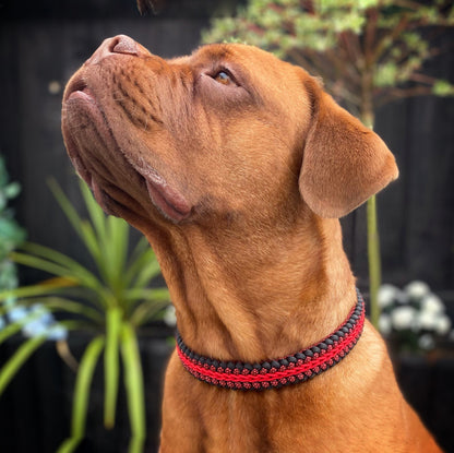 Safari Sunset | The Adventure Collection | Handmade Original Weave Collar