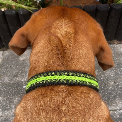 Willow Bank | The Adventure Collection | Handmade Original Weave Collar